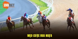 <b>Khám phá tổng quan về nhà cái hàng đầu 188BET</b>